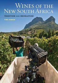 Cover image for Wines of the New South Africa: Tradition and Revolution