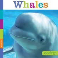 Cover image for Seedlings: Whales