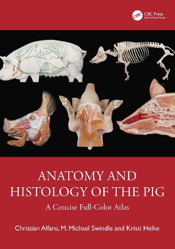 Cover image for Anatomy and Histology of the Pig