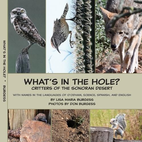 Cover image for What's in the hole? Critters of the Sonoran Desert