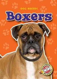 Cover image for Boxers