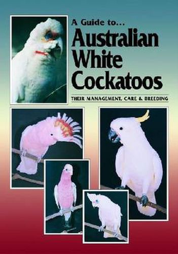 Cover image for Australian White Cockatoos