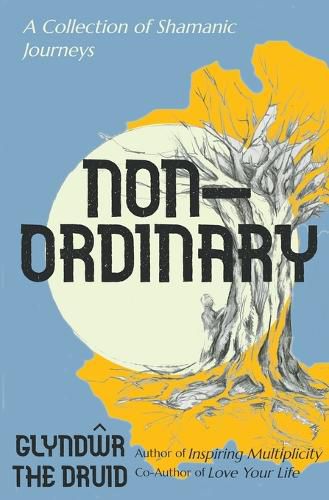 Cover image for Non-Ordinary