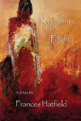 Cover image for Rudiments of Flight