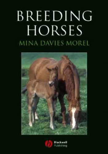 Cover image for Breeding Horses