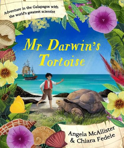 Cover image for Mr Darwin's Tortoise
