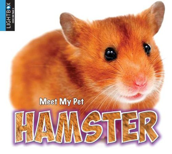 Hamster