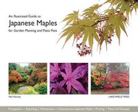 Cover image for An Illustrated Guide to Japanese Maples for Garden Planting and Patio Pots