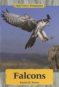 Cover image for Falcons