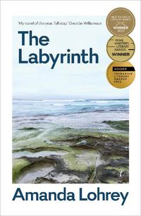 Cover image for The Labyrinth