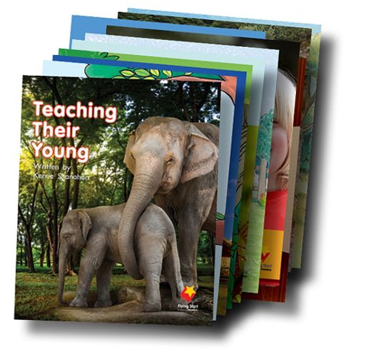 Cover image for Student Decodable Book Pack 7 - 10 titles x 1 copy each