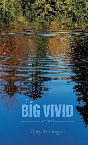 Cover image for The Big Vivid