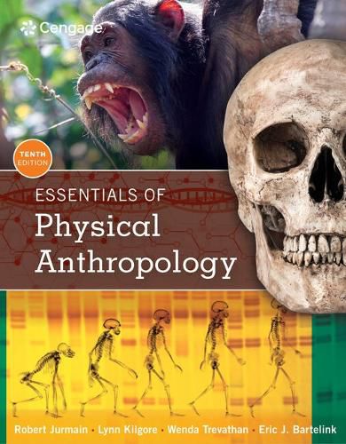 Cover image for Bundle: Essentials of Physical Anthropology, 10th + Lab Manual and Workbook for Physical Anthropology, 8th