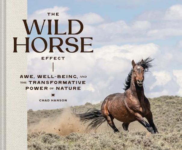 The Wild Horse Effect