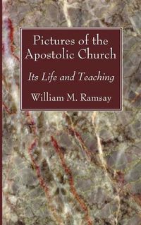 Cover image for Pictures of the Apostolic Church