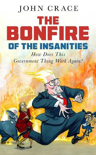 Cover image for The Bonfire of the Insanities