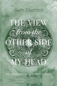 Cover image for The View from the Other Side of My Head