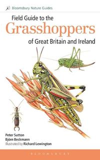 Cover image for Field Guide to the Grasshoppers of Great Britain and Ireland