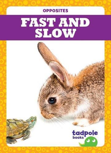 Cover image for Fast and Slow