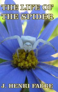 Cover image for The Life of the Spider