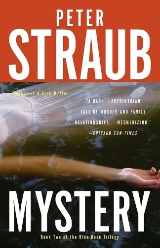 Cover image for Mystery