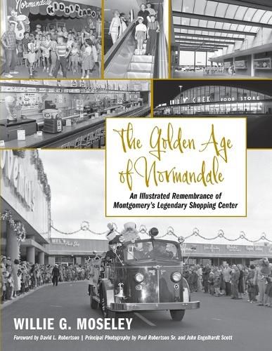 Cover image for The Golden Age of Normandale