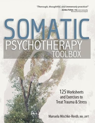 Cover image for Somatic Psychotherapy Toolbox: 125 Worksheets and Exercises to Treat Trauma & Stress