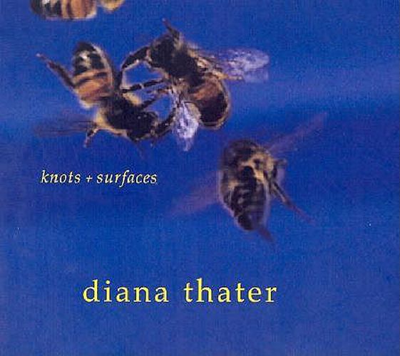 Diana Thater: Knots and Surfaces