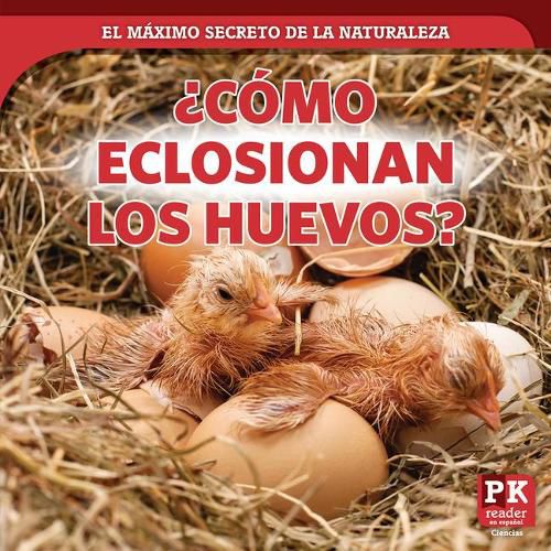 Cover image for ?Como Eclosionan Los Huevos? (How Eggs Hatch)