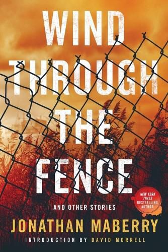 Cover image for Wind Through the Fence: And Other Stories