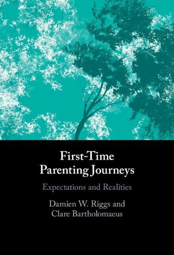 Cover image for First-Time Parenting Journeys