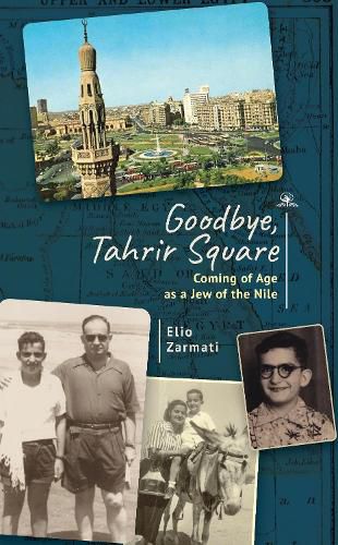 Cover image for Goodbye, Tahrir Square