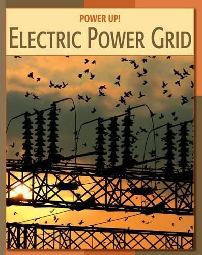 Cover image for Electric Power Grid