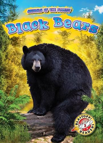 Cover image for Black Bears