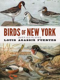 Cover image for Birds of New York: Over 100 Plates