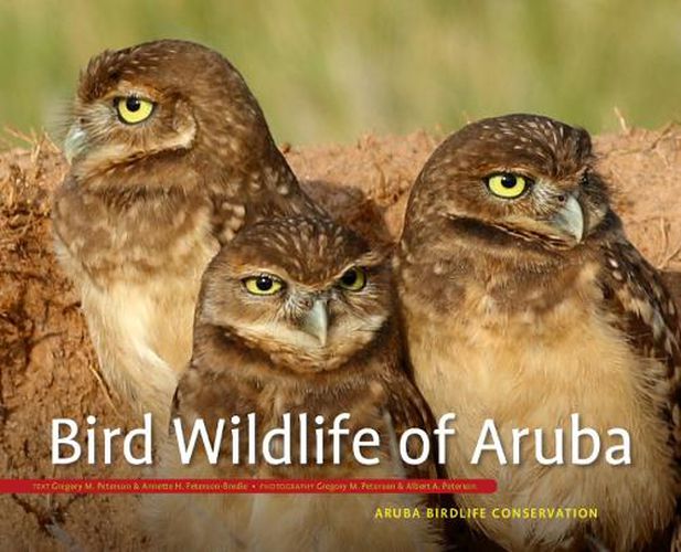 Cover image for Bird Wildlife of Aruba