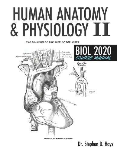 Cover image for Human Anatomy and Physiology II Biol 2020 Course Manual