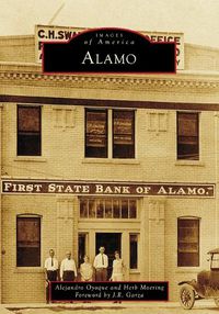 Cover image for Alamo