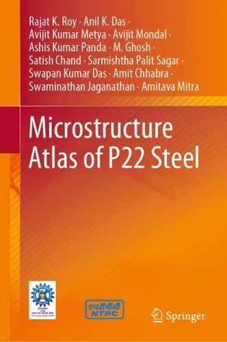 Cover image for Microstructure Atlas of P22 Steel