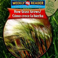 Cover image for How Grass Grows / Como Crece La Hierba