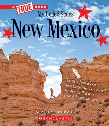 Cover image for New Mexico (a True Book: My United States) (Library Edition)