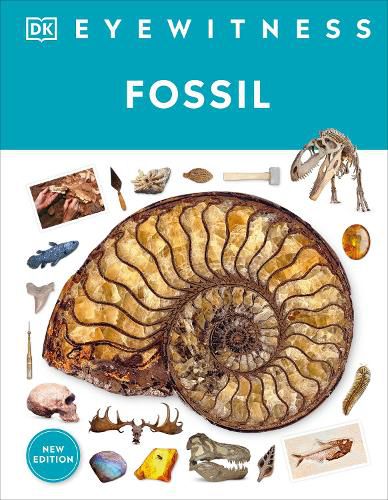 Cover image for Eyewitness Fossil