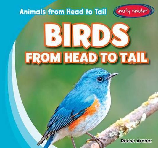 Cover image for Birds from Head to Tail