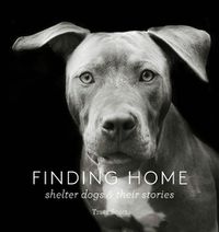 Cover image for Finding Home: Shelter Dogs and Their Stories