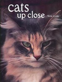 Cover image for Cats Up Close