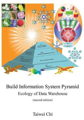 Cover image for Build Information System Pyramid: Ecology of Data Warehouse Second Edition
