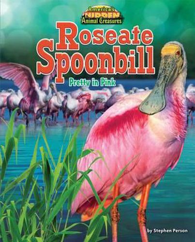 Cover image for Roseate Spoonbill: Pretty in Pink