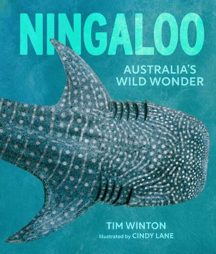 Cover image for Ningaloo