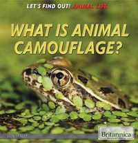 Cover image for What Is Animal Camouflage?