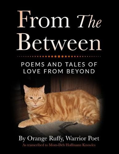 Cover image for From the Between